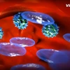 [Videographics] Vì sao con người cần thiết phải tiêm chủng? 