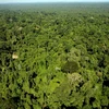 Toàn cảnh một khu bảo tồn thiên nhiên trong rừng Amazon, bang Para, Brazil ngày 4/12/2011. (Nguồn: AFP/TTXVN)