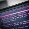  Một máy tính bị nhiễm mã độc tại Gedrop, Hà Lan ngày 27/6. (Nguồn: AFP/TTXVN)