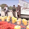 [Video] Afghanistan chặn đứng một âm mưu đánh bom quy mô lớn