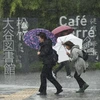 Mưa to gió lớn khi bão Lan đổ bộ vào Tokyo, Nhật Bản ngày 22/10. (Nguồn: AFP/TTXVN)
