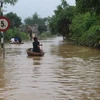 Ngập lụt tại Thạch Định, huyện Thạch Thành ngày 13/10. (Ảnh: Khiếu Tư/TTXVN)