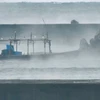 Con thuyền đánh cá được nhìn thấy ở đê chắn sóng tại Yurihonjo vào buổi sáng 24/11. (Nguồn: Reuters)