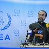 Đại sứ Iran tại IAEA Reza Najafi. (Nguồn: AFP/TTXVN)