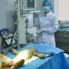 Các nhà khoa học Trung Quốc đã ghép thành công các mạch máu được sản xuất từ máy in 3D lên khỉ thí nghiệm. (Nguồn: CNN)