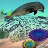 [Videographics] Tìm hiểu Rạn san hô Great Barrier lớn nhất thế giới
