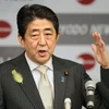 Thủ tướng Nhật Bản Shinzo Abe. (Nguồn: Kyodo/TTXVN)