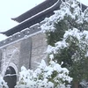 [Video] Vẻ đẹp tráng lệ sau mưa tuyết ở vùng Đông Bắc Trung Quốc 