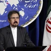 Người phát ngôn Bộ Ngoại giao Iran Bahram Qasemi. (Nguồn: Gulf-times/TTXVN) 