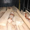 Số lượng gỗ lậu bị lực lượng chức năng thu giữ. (Ảnh: Đức Thọ/TTXVN)