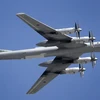 Máy bay ném bom chiến lược Tu-95 của Nga. (Nguồn: AFP/TTXVN)
