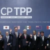 Bộ trưởng Công thương Trần Tuấn Anh (phải) cùng đại diện 10 nước tham gia lễ ký Hiệp định CPTPP chụp ảnh chung tại hội nghị ở Santiago ngày 8/3. (Nguồn: AFP/TTXVN)