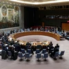  Toàn cảnh một phiên họp của Hội đồng Bảo an LHQ về Syria, tại New York (Mỹ) ngày 4/4. (Nguồn: THX/TTXVN)