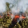 [Video] Suối dung nham nóng bỏng trào lên mặt đất trên đảo Hawaii