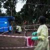 Nhân viên y tế làm việc tại khu vực cách ly sau khi phát hiện trường hợp nhiễm virus Ebola ở Muma, CHDC Congo. (Nguồn: AFP/TTXVN)