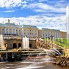 Cung điện Peterhof (Cung điện mùa Hè) - điểm đến hấp dẫn tại thành phố St.Petersburg . (Ảnh Quang Vinh/TTXVN)