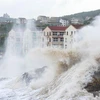Sóng lớn đánh vào bờ biển ở thị trấn Shitang của thành phố Ôn Lĩnh, tỉnh Chiết Giang phía đông Trung Quốc, ngày 10/7. 