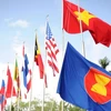 Kéo cờ ASEAN và các nước. (Nguồn: AFP/TTXVN)