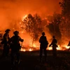 Lính cứu hỏa làm nhiệm vụ tại khu vực cháy rừng ở bang California, Mỹ ngày 1/8. (Ảnh: THX/TTXVN)