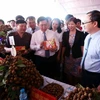  Phó Thủ tướng Vương Đình Huệ và các đại biểu tham quan gian hàng trưng bày sản phẩm nông sản Hưng Yên. (Ảnh: Phạm Kiên/TTXVN)