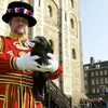 [Video] Những truyền thống mê tín kỳ lạ của Hoàng gia Anh