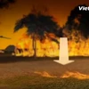 [Videographics] Cháy rừng - Thảm họa khủng khiếp đe dọa mọi quốc gia