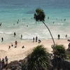 Khách du lịch tắm biển tại bang Quintana Roo, Mexico. (Nguồn: AFP/TTXVN)