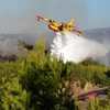 Máy bay dập lửa tại khu vực làng Charneca trong công viên quốc gia Sintra, phía tây Lisbon. (Nguồn: AP)