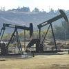  Giàn khoan hoạt động tại giếng dầu của Tập đoàn Chevron ở Bakersfield, California, Mỹ tháng 11/2016. (Ảnh: AFP/TTXVN)