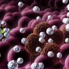 [Video] Chế tạo thành công loại virus diệt tế bào ung thư