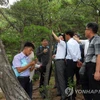 Các quan chức lâm nghiệp Triều Tiên và Hàn Quốc khảo sát về lâm nghiệp trên núi Kumgang ngày 8/8/2018. (Nguồn: Yonhap/TTXVN)