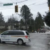 Một đường dây điện bị rơi trong khu phố Dunbar của Vancouver ngày 20/12/ 2018. (Nguồn: ctvnews.ca)
