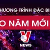[Video] 'Việt Nam hội nhập' - Chương trình đặc biệt chào Năm mới 2019