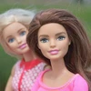 Búp bê Barbie. (Nguồn: mykidstime.com)