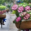 [Video] Hà Nội - Thành phố dịu dàng và quyến rũ kỳ lạ