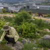 Một nhà nghiên cứu của Sở Lâm nghiệp Hàn Quốc nghiên cứu thực vật tại Vườn Bách thảo Quốc gia DMZ giữa hai miền. (Nguồn: scmp.com)