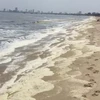 Đà Nẵng: Nước biển đổi màu, bốc mùi hôi tanh do nước thải