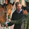 [Video] Instagram của vợ chồng Hoàng tử Harry phá kỷ lục Guiness