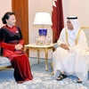 Chủ tịch Quốc hội Nguyễn Thị Kim Ngân hội kiến Chủ tịch Hội đồng Shura (Nghị viện) Qatar, Ngài Ahmad Bin Abdullah Al Mahmoud. (Ảnh: Trọng Đức/TTXVN)