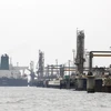 Tàu chở dầu của Iran cập đảo Khark, tỉnh Bushehr (Iran), ngoài khơi vùng Vịnh. (Ảnh: AFP/TTXVN) 
