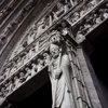 Bức điêu khắc tại Nhà thờ Đức Bà ở Paris, Pháp tháng 10/2013. (Ảnh: THX/TTXVN) 