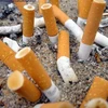 [Video] Đầu lọc thuốc lá - chất thải nhựa gây hại cho đại dương