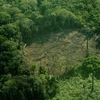 Nhiều diện tích rừng bị chặt phá tại khu vực Tây Amazon, Brazil. (Ảnh: AFP/TTXVN)