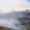 [Video] 6 hecta rừng đặc dụng Đèo Cả tại Phú Yên bị thiêu rụi