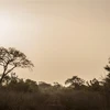 Quang cảnh tại công viên quốc gia Pendjari ở Tanguieta, Benin ngày 10/1/2018. (Ảnh: AFP/TTXVN)