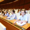 Đoàn đại biểu Quốc hội tỉnh Hưng Yên lấy ý kiến về dự kiến Chương trình giám sát của Quốc hội năm 2020. (Ảnh: Doãn Tấn/TTXVN)