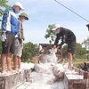Chuẩn bị đưa lợn bệnh đi tiêu hủy tại tỉnh Đắk Lắk.( Ảnh: Phạm Cường/TTXVN)