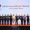 Các quan chức cao cấp ASEAN chụp ảnh chung. (Ảnh: TTXVN)