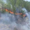 Thời gian qua đã xảy ra nhiều đám cháy rừng ở miền Trung do người dân bất cẩn dùng lửa. Trong ảnh: Cháy rừng ở huyện Hương Sơn, Hà Tĩnh. (Ảnh: TTXVN)