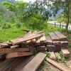 Tang vật gỗ khai thác lậu tại Quảng Bình. (Ảnh minh họa: Đức Thọ/TTXVN)